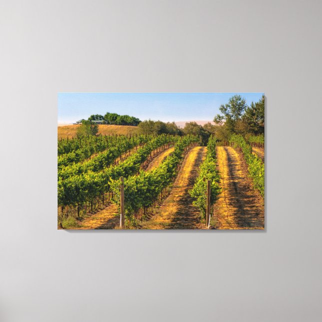 Toile États-Unis, Est de Washington, Walla Walla Vineyar (Recto)