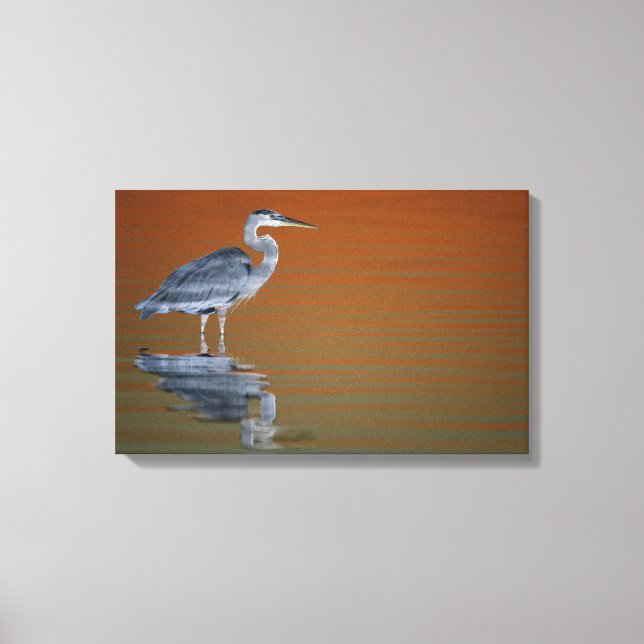 Toile États-Unis, Floride, Saint-Pétersbourg, Fort De So (Recto)