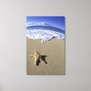 Toile États-Unis, Hawaï, Maui, Makena Beach, Étoile de m