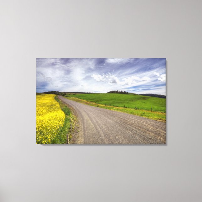 Toile États-Unis, Idaho, Comté d'Idaho, Champ de canola (Recto)