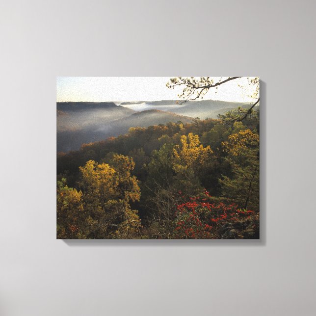 Toile États-Unis, Kentucky. Forêt nationale Daniel Boone (Recto)