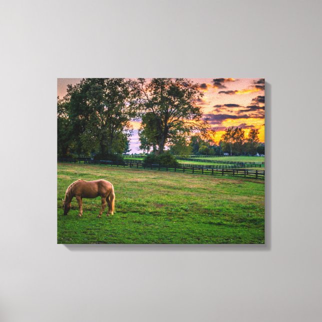 Toile États-Unis, Lexington, Kentucky. Cheval solitaire  (Recto)