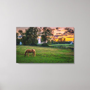 Toile États-Unis, Lexington, Kentucky. Cheval solitaire