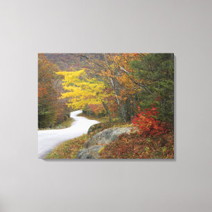 Toile États-Unis, Maine, Camden. Route traversant Camden
