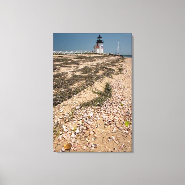 Toile États-Unis, Massachusetts, Nantucket. Coquille (Recto)