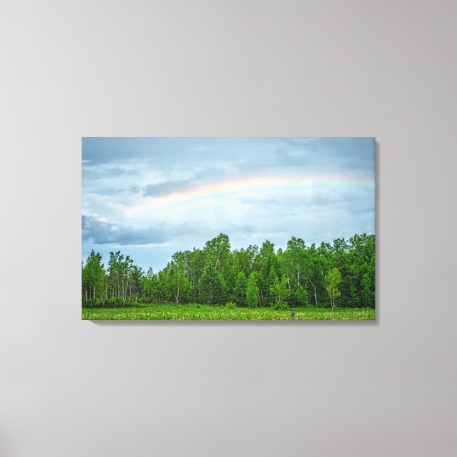Toile États-Unis, Minnesota. Prairie verte avec des fleu (Recto)