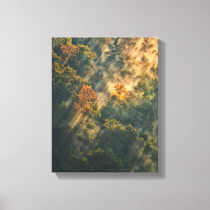 Toile États-Unis, New York, Letchworth State Park. Lever