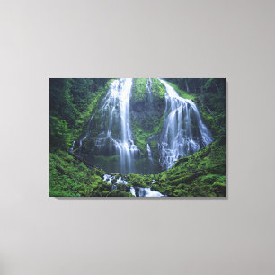 Toile États-Unis, Oregon, Forêt nationale de Willamette.