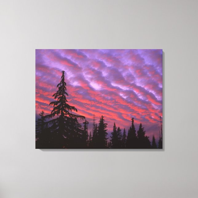 Toile États-Unis, Oregon, Three Sisters Wilderness, Vivi (Recto)