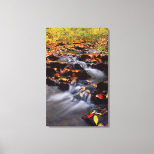 Toile États-Unis, Pennsylvanie, Montagnes Pocono 2