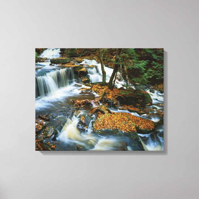 Toile États-Unis, Pennsylvanie, Parc d'État de Ricketts  (Recto)