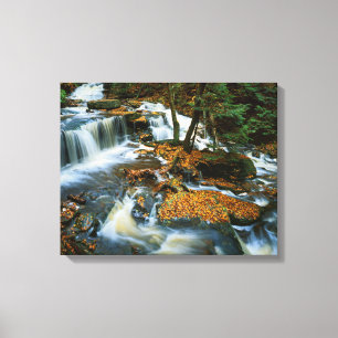 Toile États-Unis, Pennsylvanie, Parc d'État de Ricketts