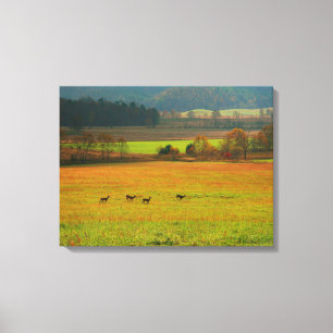 Toile États-Unis, Tennessee. Cades Cove dans Smoky Mount