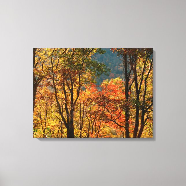 Toile États-Unis, Tennessee. Feuillage d'automne (Recto)