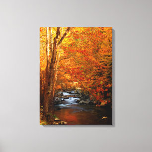 Toile États-Unis, Tennessee. Rushing Mountain Creek 2