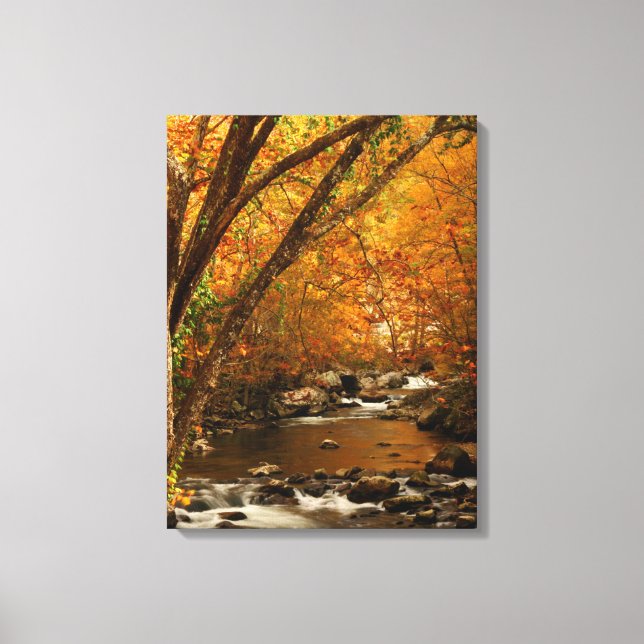 Toile États-Unis, Tennessee. Rushing Mountain Creek 3 (Recto)