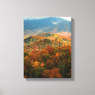 Toile États-Unis, Tennessee. Vue du mont Leconte enneigé