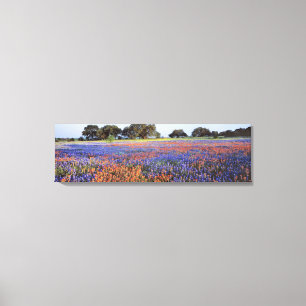 Toile États-Unis, Texas, Llano. Bluebonnets et redbonnet