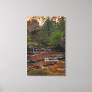 Toile États-Unis, Utah, parc national de Zion. Scénique