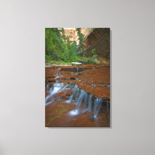 Toile États-Unis, Utah, Zion National Park. Pittoresque