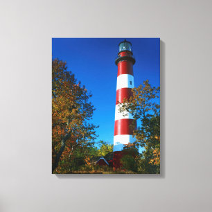 Toile États-Unis, Virginie, île d'Assateague, Chincoteag