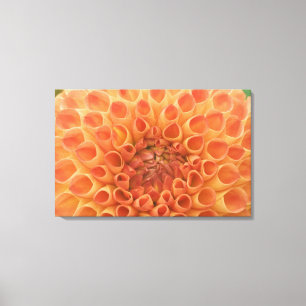 Toile États-Unis, Washington, Bellevue, Bellevue Botanic