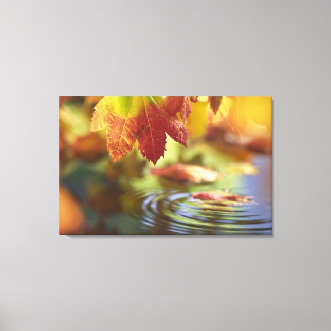 Toile États-Unis, Washington, Bellingham, Gros plan sur  (Recto)