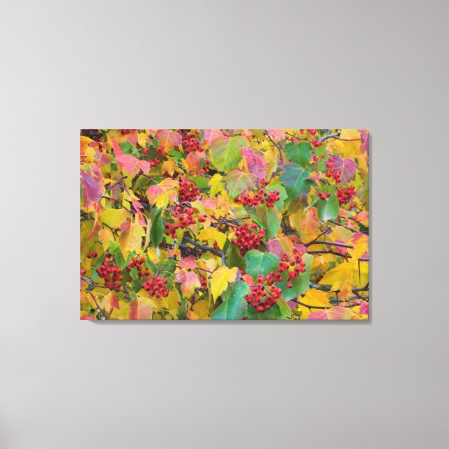 Toile États-Unis, Washington, comté de Spokane, Feuilles (Recto)