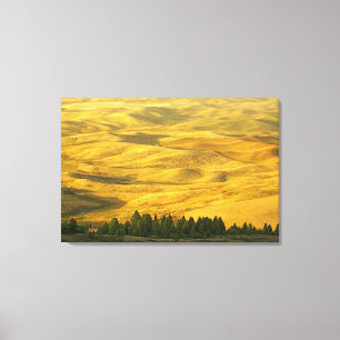 Toile États-Unis, Washington, Comté de Whitman, Palouse,