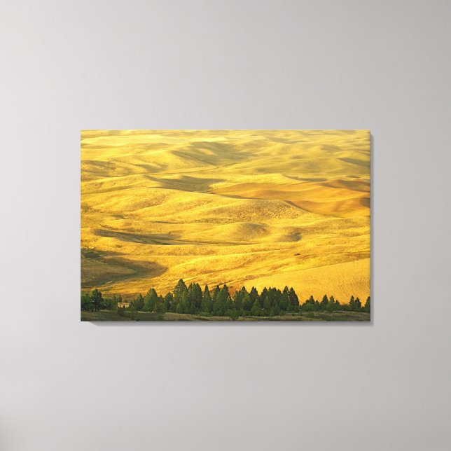 Toile États-Unis, Washington, Comté de Whitman, Palouse, (Recto)