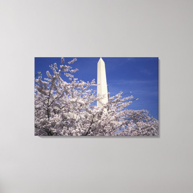 Toile États-Unis, Washington DC. Festival des fleurs de  (Recto)