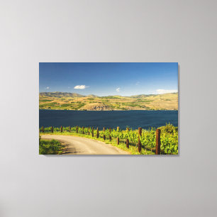 Toile États-Unis, Washington, Lac Chelan. Vignoble