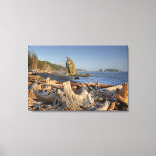 Toile États-Unis, Washington, Parc National Olympique, 