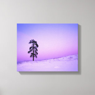 Toile États-Unis, Washington, Spokane County, Riverside