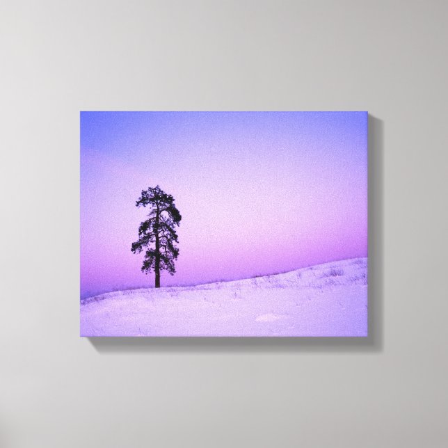 Toile États-Unis, Washington, Spokane County, Riverside (Recto)