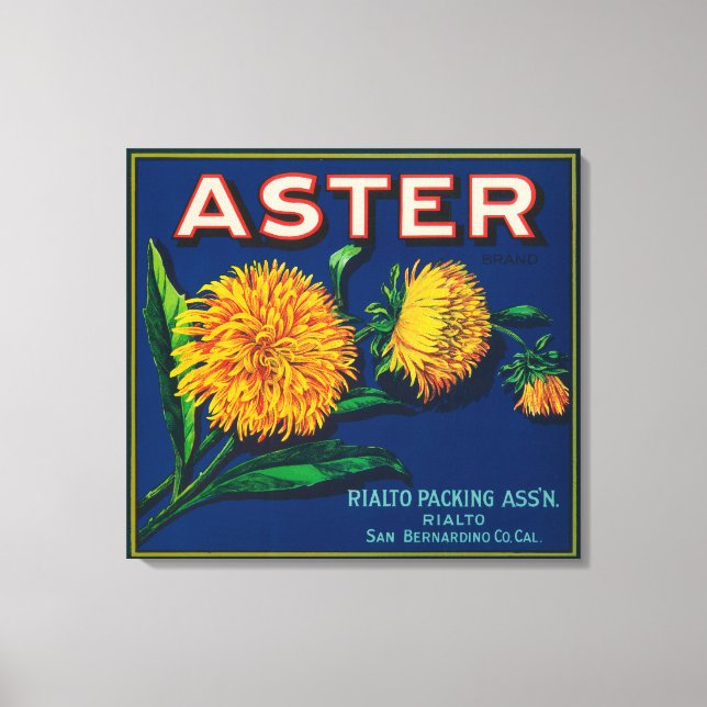Toile Étiquette Aster Brand Citrus Crate (Recto)