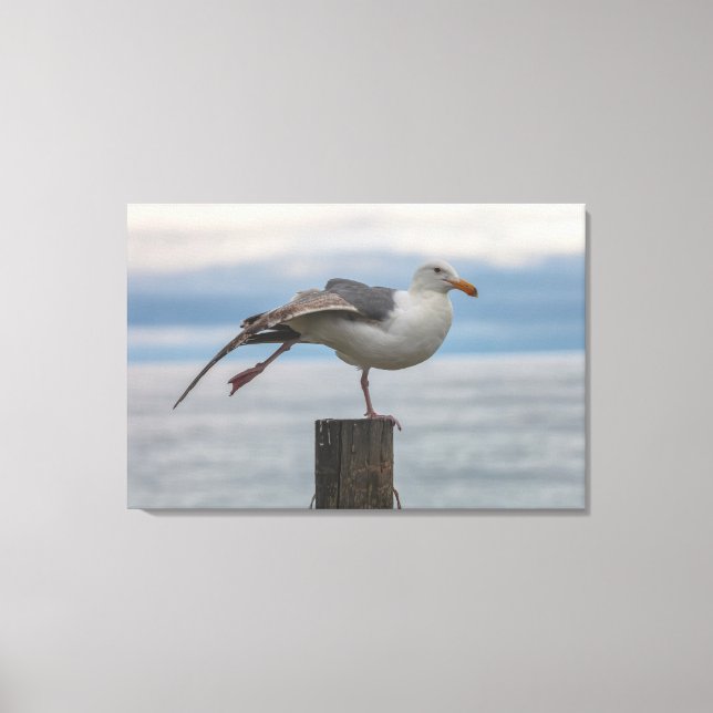 Toile Étirement (Recto)