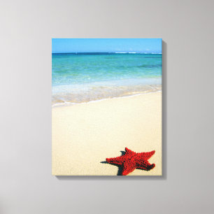 Toile Étoiles de mer rouges sur la plage blanche de