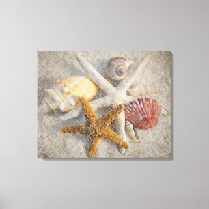 Toile Étoiles de mer/Shell/de sable plage toujours vie