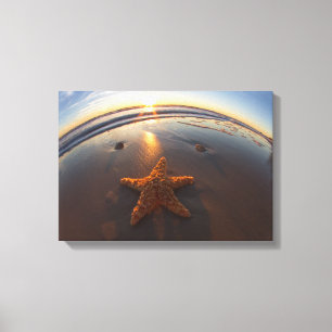 Toile Étoiles de mer sur la plage