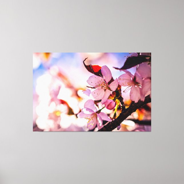 Toile Étonnante floraison de Sakura (Recto)
