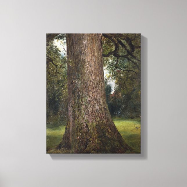 Toile Étude du tronc d'un orme, vers 1821 (huile sur (Recto)