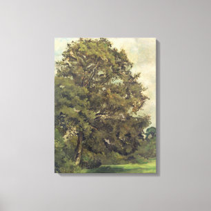 Toile Étude d'un arbre de cendre, c.1851 (huile sur le