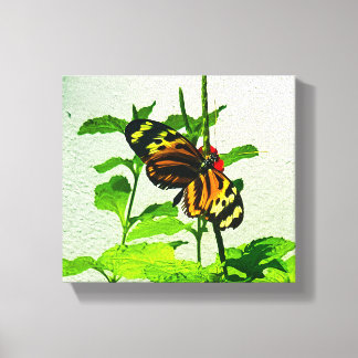 Toile Eueides Isabella