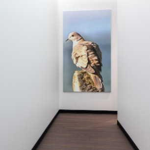 Toile Eurasian Collared Dove Art de la faune