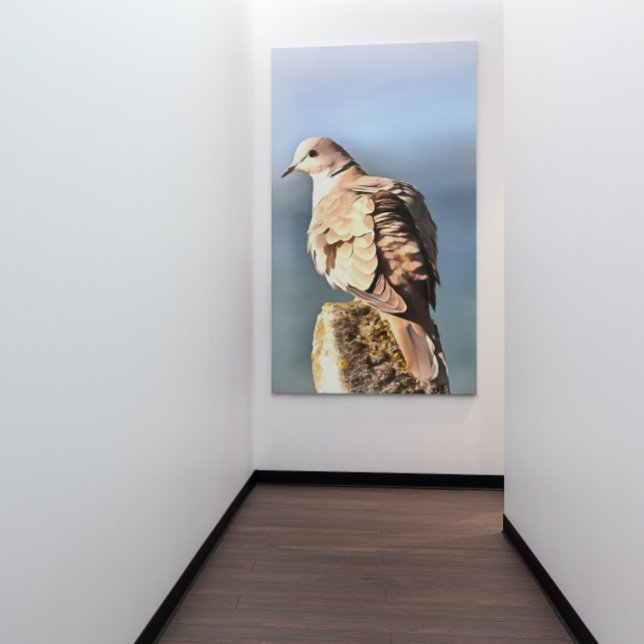 Toile Eurasian Collared Dove Art de la faune (Créateur téléchargé)