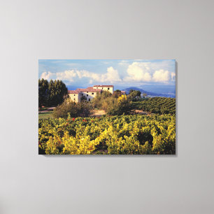Toile Europe, France, Bonnieux. Les vignobles couvrent l