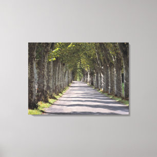 Toile Europe, France, Cereste. Des arbres bordent cette 