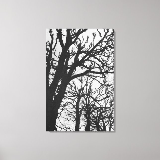 Toile Europe, France, Paris. Arbres d'hiver, Marco (Recto)