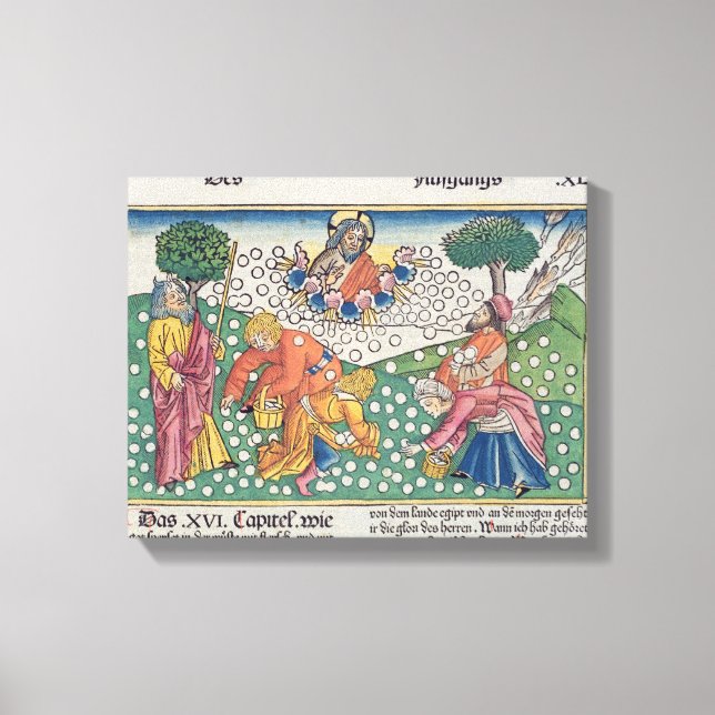 Toile Exodus 16 13-22 God provides quail and manna to th (Recto)